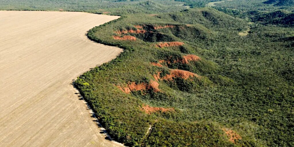 universidades-se-unem-para-promover-medidas-de-preservacao-do-cerrado