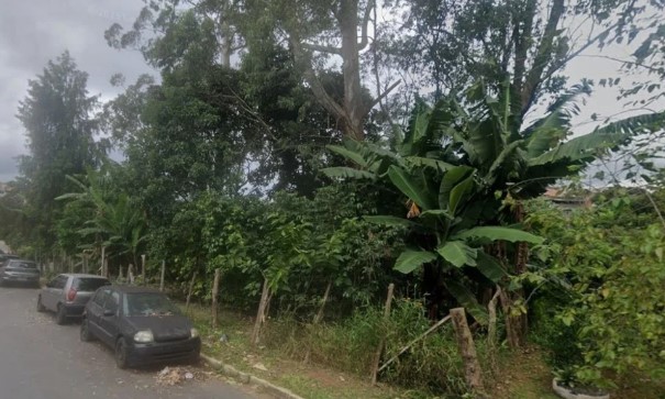 ossada-e-localizada-em-area-ambiental-na-zona-sul-e-policia-apura-possivel-cemiterio-clandestino