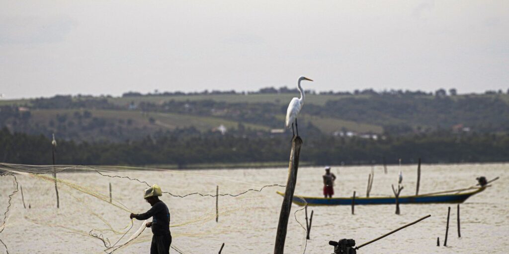sexto-lote-do-seguro-defeso-sera-disponibilizado-na-terca-feira