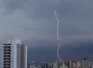 sp-registra-desabamentos-e-quedas-de-arvore-por-chuva-forte