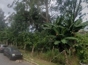 ossada-e-localizada-em-area-ambiental-na-zona-sul-e-policia-apura-possivel-cemiterio-clandestino
